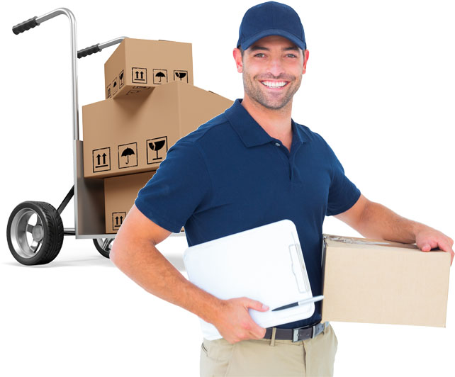 About Anyway Packers and Movers Bhavnagar